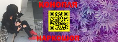 крисы Лесосибирск