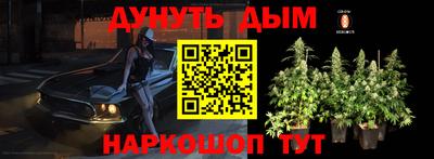 крисы Лесосибирск