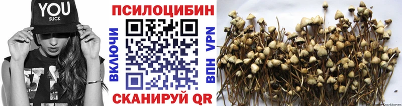 маркетплейс клад  Тулун  Псилоцибиновые грибы Psilocybe 